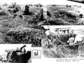 The Terrible Ukrainian Famine of 1932-33