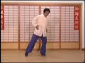 Tanglang Bufa ???? Mantis Sparring Footwork