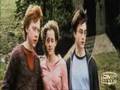Ron/Hermione - You should really know