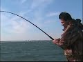 Outer banks stripers/ Team Old School PART1