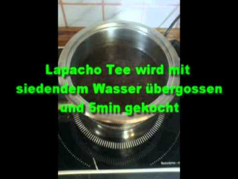Lapachotee zubereiten - gewuerzhitz