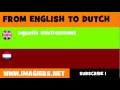 NEDERLANDS = ENGELS = aquatisch milieu