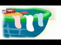 Caillou Türkce - Ressam Caillou