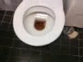 GORE PLEE ONTDEKT!