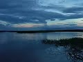Balade sur l'Amazone