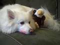 Akiak says read my lipstick