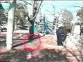 Ghosts in Japan