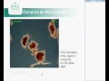 Palestra de Leandro Coelho Dalvi - parte 3 - 1º Mini Fórum sobre ETEs APLYSIA