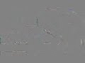 Search Video