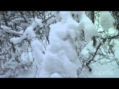Winter Stories