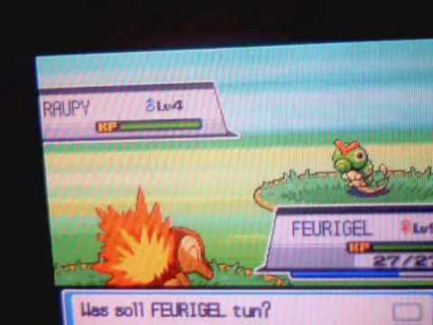 Feurigel