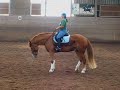 Zügelloses Reiten mit Rocco, man war das schön!!!