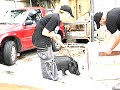 Animal Rescue