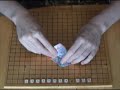 Origami Flower - Lily, Iris - Folding Instructions