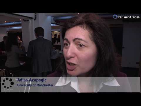 Adisa Azapagic