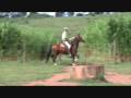 radical kavei  CAVALO DO VOVÔ GENINHO!!!!