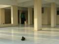 Puffy and I bid adieu -  to Year 2008 - Hum Hain Is Pal Yahaan