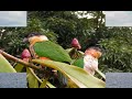 La Gran Sabana La Gran Sabana