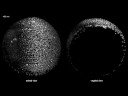 Time-Lapse: Zebrafish Embryos Developing