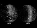 Time-Lapse: Zebrafish Embryos Developing