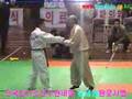 Grandmaster Yoon Sae Kwon