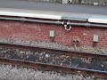 A Network Rail Track Inspection Pigeon