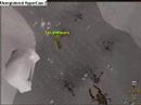 [Rs]Runescape music video - Tears and rain
