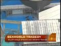 Killer Whale Grabs, Drowns Trainer - YouTube