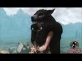 Mantle of the Silver Hand para TES V: Skyrim vídeo 1