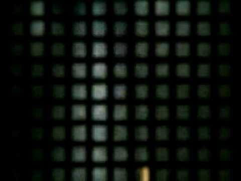 Stereo Mutants - I Wonder Stereo Mutants - I Wonder