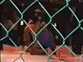 manzanares vs ? vale todo eliminatoria round dragon