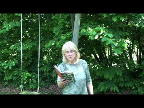Video bekijken Video bekijken