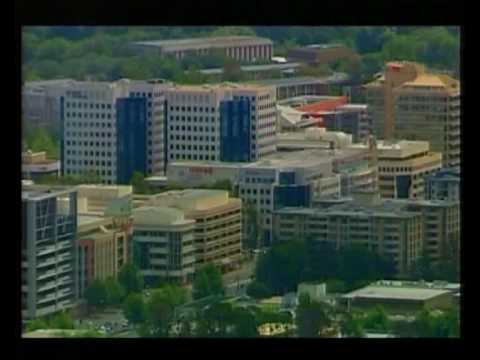 Draft Action Plan for the City