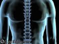 Sweetgrass Chiropractic Mount Pleasant NC