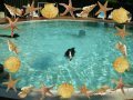 Urlaub in Postmünster