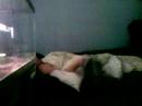 after 'bike night' greg hammond passes out at steve fourman's houses, wakes up the next day and tries to pull the blanket of steve... goes on to impersonate adam sandler.

filmed by brent williams via audiovox vx6700 phone