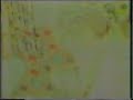 Rapsodet Hysen Asllani e Bajram Ibishi-NIKQI-Rugovë
