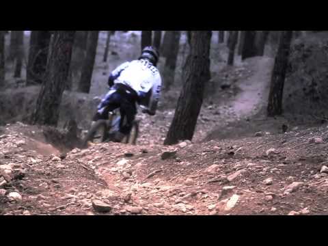 chain reaction cycles