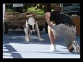 RUFFORDS AMERICAN BULLDOGS RUFFORDS AMERICAN BULLDOGS