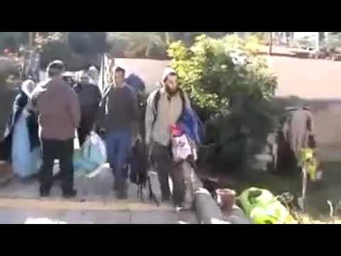 فيديو