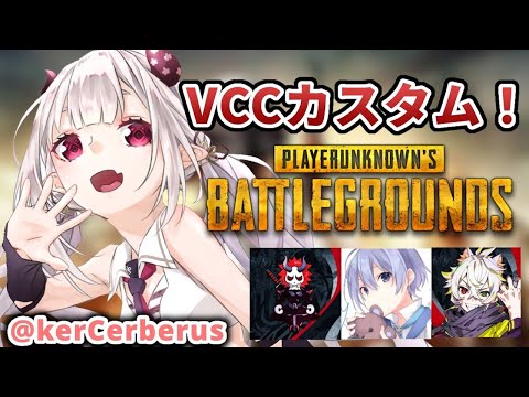  【PUBG 】VCCカスタム！withありぴRas白雪レイド