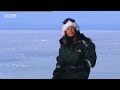 bbc: search for the polar bears   finding the mother bears with their cubs!