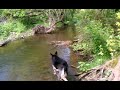 Click here to watch this video May 25, 2012 4:24 PM