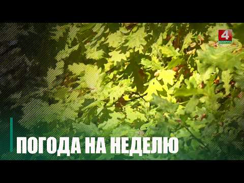 Будет тепло и дождливо. В Гомельской области температура воздуха на этой неделе ожидается чуть выше обычной для этого времени видео