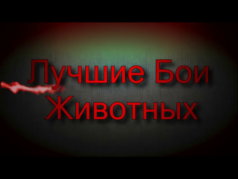 фото анаконды которая кушает людей онлайн фото анаконды которая кушает людей