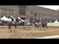 Equus Catalonia XXI Edició ( 2009 )