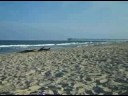 Feb 25 2008 - VID00029