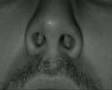 Sneezing and Dying (Video Art)