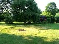 home is where the birds are home is where the birds are