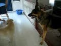 Ben and Chaos